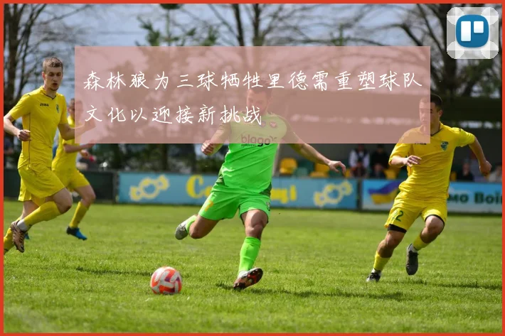 森林狼为三球牺牲里德需重塑球队文化以迎接新挑战