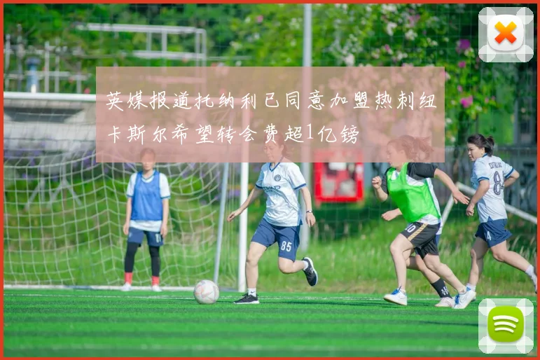 英媒报道托纳利已同意加盟热刺纽卡斯尔希望转会费超1亿镑